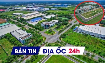 Địa ốc 24H: Đấu giá đất vùng ven 120 triệu đồng/m2; phân khúc BĐS nào chịu ảnh hưởng nếu Mỹ áp thuế?