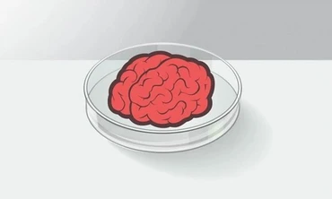 Bộ não nhân tạo đã có khả năng chơi game