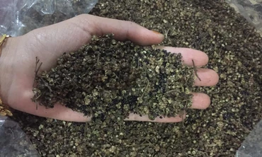 TIN NHANH 12H: Ồ ạt bán vàng bất chấp lỗ; Phát hiện chất chống ung thư từ loại gia vị phổ biến