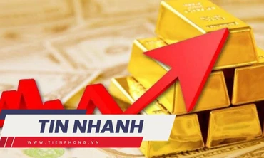 TIN NHANH: Chuyên gia 'hiến kế' để ổn định thị trường vàng; Bác sĩ bị bắt khi đang nhận tiền của bệnh nhân tâm thần