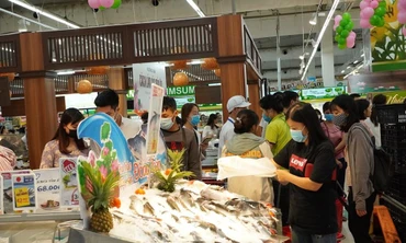 Thị trường ngày 12/10: Lợn hơi giảm sâu, giá USD giảm