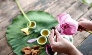 Trà ướp sen giá 10 triệu đồng/kg hút khách không ngờ