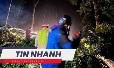 TIN NHANH: Chiến sỹ CSGT kể phút giây thoát chết ở đèo Bảo Lộc; Hoảng hồn máy bay lao xuống bãi tắm