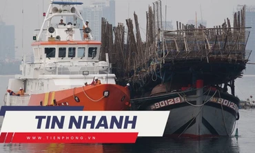 TIN NHANH: Máy bay, tàu nước ngoài hỗ trợ tìm 13 ngư dân mất tích; HLV Troussier: 'Trận thua Hàn Quốc không bất ngờ'
