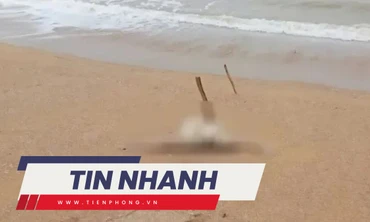 TIN NHANH: Xác định thi thể nữ giới không đầu dạt bờ biển Quảng Nam