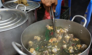 Những loại cây có 'giá trên mây' ở Việt Nam, hàng gà tần bán nghìn suất mỗi ngày