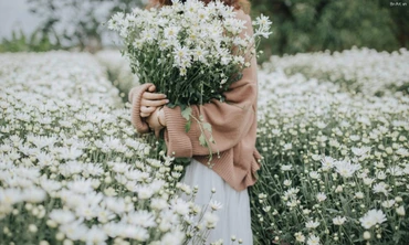 Thị trường 25/11: Sầu riêng tăng giá cao, chủ vườn cúc họa mi 'hốt bạc'