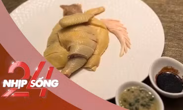 NHỊP SỐNG 24: Đĩa gà luộc có giá 1,6 triệu đồng gây tranh cãi