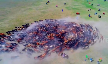 Sửng sốt cảnh vó ngựa cuốn tung cát bụi tại lễ hội ở Mông Cổ