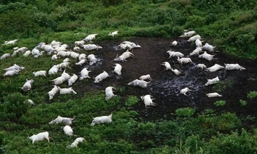 Rợn người 'Hồ tử thần' xóa sổ ngôi làng chỉ trong một đêm