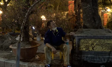 Tiểu thương buôn đào: Nếu ngày 30 Tết không bán hết sẽ chặt bỏ