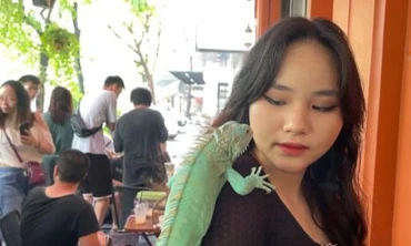 Thú chơi mới của giới trẻ Hà thành: Nuôi bò sát độc lạ làm thú cưng