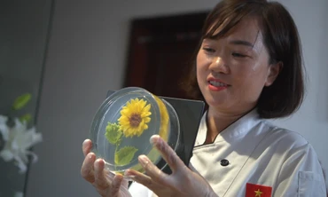 Nữ thạc sĩ thú y 'gác' bằng cao học theo đuổi đam mê làm bánh thạch 3D 
