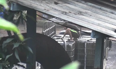 Clip cận cảnh lò nấu dầu thải nghìn lít/ngày