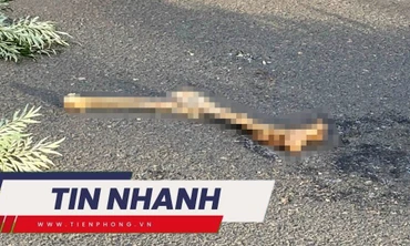 TIN NHANH: Công bố nhận dạng tử thi có chân bị tách rời ở Đà Lạt; Mua vàng bình ổn giá cần chuẩn bị gì?