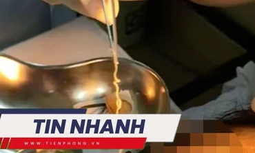 TIN NHANH: Cứu học sinh lớp 4 ăn lá ngón tự tử; Donetsk bị tấn công, Nga đề nghị Hội đồng Bảo an họp khẩn