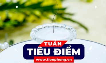 TIÊU ĐIỂM: Xôn xao xá lợi tóc của Đức Phật tự chuyển động; Bị đề nghị 26 năm tù, Phan Quốc Việt nói lời sau cùng