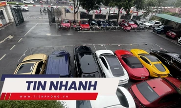 TIN NHANH: Thông tin về dịch bệnh lạ; Xe và vàng của 'Mr Pips' được xử lý ra sao?