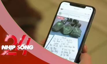 NHỊP SỐNG 24: Lừa đảo ‘đổ thạch’ trên mạng; Kỷ lục hưởng lương hưu trẻ nhất thế giới