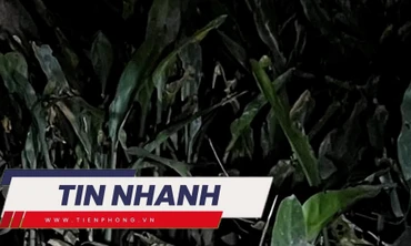 TIN NHANH: Hiện trường vụ thi thể phân hủy chỉ còn xương dưới gầm cao tốc có gì?
