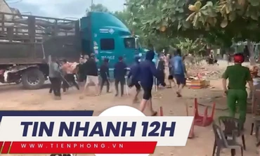 TIN NHANH 12H: Hỗn chiến như phim hành động trước mặt công an; Loạt cây hoa sữa chết bất thường