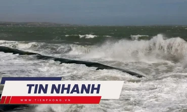 TIN NHANH: Biển Đông có thể đón 2 cơn bão trong tháng 10; Lý do nghịch tử sát hại mẹ ở vườn điều