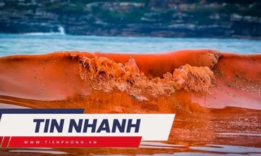 TIN NHANH: 'Thủy triều đỏ' xuất hiện tại Kiên Giang, cảnh báo nguy hiểm