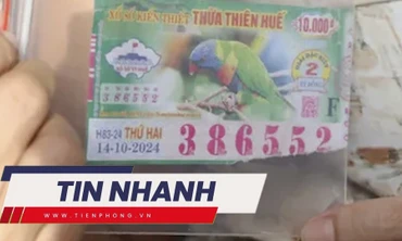 TIN NHANH: Vụ trúng vé số không được lĩnh thưởng: Huế quy định cách hủy vé số bị ế như thế nào?
