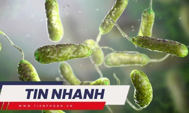 TIN NHANH: Người có lương hưu cao nhất năm 2022 là 140 triệu; 5 người chết vì vi khuẩn ăn thịt người