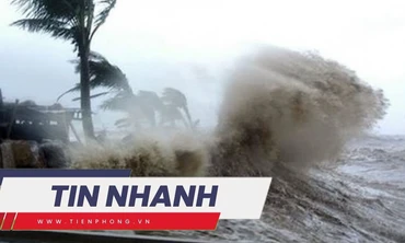 TIN NHANH: Bão Yagi làm 13 người chết ở Philippines; Sở GD&ĐT Yên Bái nói về nam sinh Đường lên đỉnh Olympia
