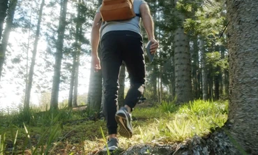 Không chịu nổi áp lực công việc, nam nhân viên bỏ trốn vào rừng sống