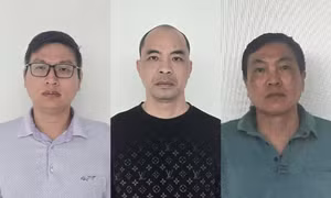 Ba giám đốc trốn thuế hơn 1,8 tỷ đồng ở Tuyên Quang