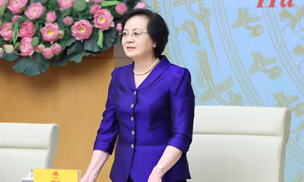 Phó Thủ tướng Phạm Thị Thanh Trà yêu cầu xây 'lá chắn' bảo vệ trẻ em