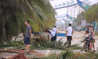 Khu du lịch biển Hải Tiến tan hoang sau bão 