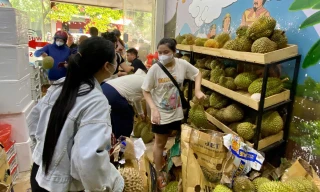 Sầu riêng giá rẻ 'đổ bộ' Hà Nội, 1 ngày bán gần 3 tấn 