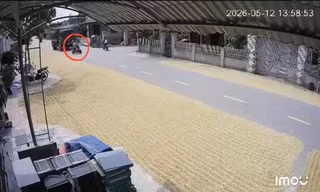 'Chiếm' đường phơi lúa, rơm rạ dẫn tới tai nạn bị xử lý thế nào?
