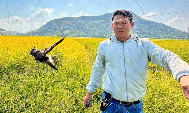 Đội phản ứng nhanh của Công ty Yến sào Khánh Hòa tuần tra, ngăn chặn nạn đánh bắt yến trái phép