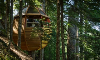 Độc đáo với ngôi nhà hình quả trứng