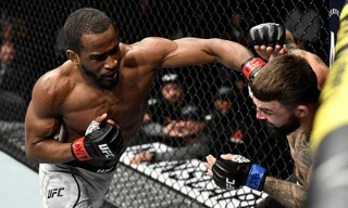 Geoff Neal ra đòn hạ gục Mike Perry.