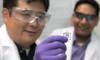 Cảm biến đường giúp phát hiện và ngăn ngừa bệnh tật