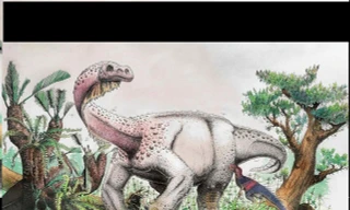 Phát hiện ra loài khủng long mới có kích thước 'siêu khủng'