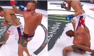 Tony Johnson hạ nock-out Joe Schilling.