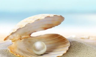 Quá trình hình thành ngọc trai trong tự nhiên