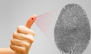 Vì sao chúng ta có dấu vân tay?