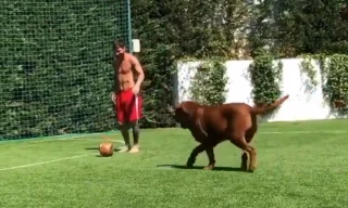 Clip: Messi phô diễn kỹ thuật cá nhân điêu luyện bên cạnh cún cưng