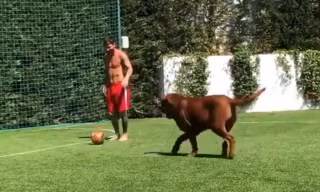 Clip: Messi phô diễn kỹ thuật cá nhân điêu luyện bên cạnh cún cưng