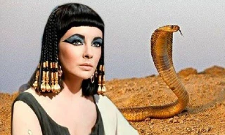 Bí ẩn về loài rắn của nữ hoàng Cleopatra