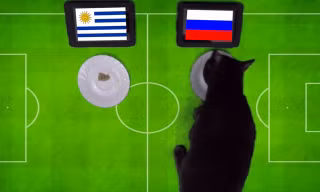 Mèo Cass dự đoán Nga sẽ đánh bại Uruguay.