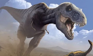 Những hiểu biết sai lầm của chúng ta về khủng long bạo chúa 