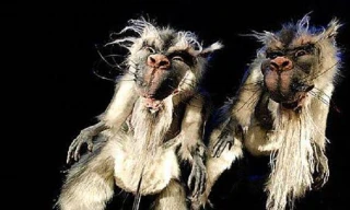 Bunyip, loài quái vật đã tuyệt chủng ở Australia